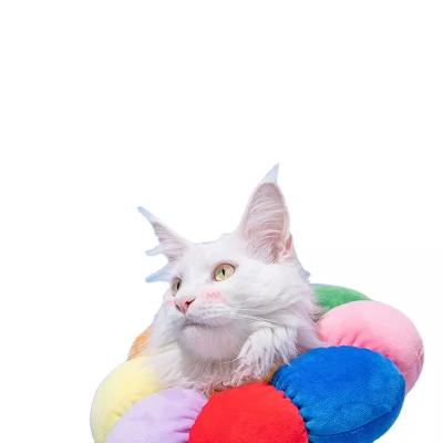 China Viable Flower Shape Cat Anti-Lick To Prevent Licking And Sharp Cotton Ring Pet Padded Cover Device For Cat And Dog for sale