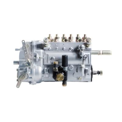 China Diesel engine with cylinder diameter 110~145mm factory sale Weifu type at various one pump fuel system electric fuel pump for sale