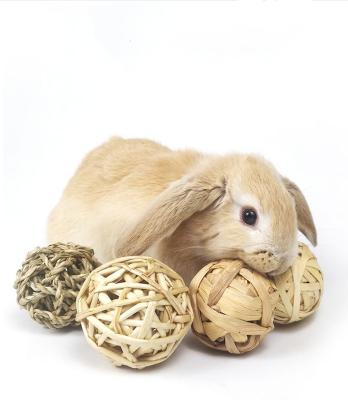 China MAHOO Viable Small Animals Toys Balls Rolling Chew Toys Gnawing Treats For Rabbits Guinea Pigs Chinchilla Bunny Degus for sale