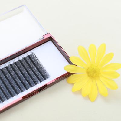 China Easy Fan Creating Crisscross Shape Of Super Black Mink 2D Y Lashes Extensions 0.05 0.07 YY Eyelashes for sale