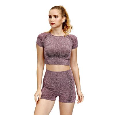 China High Quality QUICK DRY Loose Fit Sports Girls Yoga Tops Women Short Bodycon Sporty Gym T-Shirt for sale