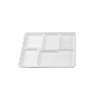 China Disposable Easy Green Natural Pulp Food Packaging 5 Compartment Biodegradable Tray CT5 for sale