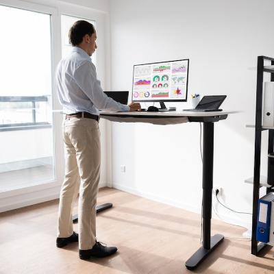 China (Height) Customizable Height Adjustable Standing Desk Office Desk with Metal Working for Healthier Work Habits for sale