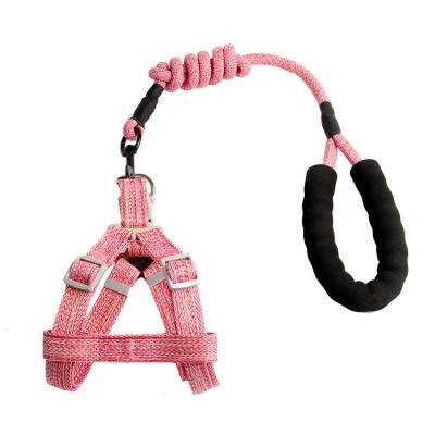 China Stocked Extra Small Dog Leash Chose Material Pet Leash Set Comfortable And Safe Dog Product for sale