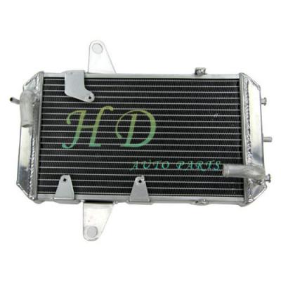 China ATV Radiator  for Cam - Am  DS450  2008 , 2 Row Aluminum Radiator for sale