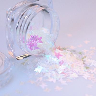 China Hot Sale Butterfly Shaped Sequin Glitter Glitter Powder Holographic Thick Glitter Powder Holiday Decoration for Nail Decoration for sale