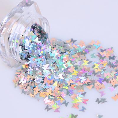 China Holographic Silver Glitter Powder Holiday Decoration Laser PET Bulk Glitter Powder Nail Glitter Wholesale Glitter Powder for sale