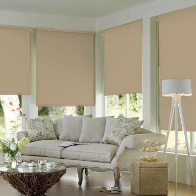 China Fancy flame retardant luxury roller shade for living room or office for sale