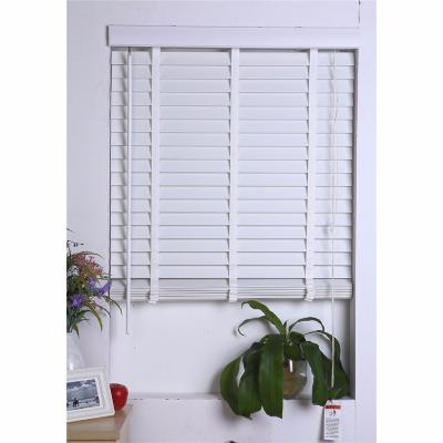 China Grace Blinds Fashion Fire Retardant 2