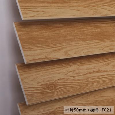 China Grace Blinds Fashion Korea flame retardant combi blinds transparent vertical slats PVC blinds for sale