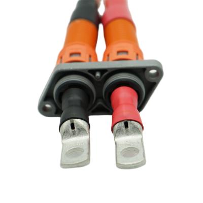 China Waterproof 2Pole 3Pole Automotive Auto Car Cable Connector EV Car Electrical HV Connector for sale