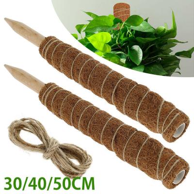 China Wholesale Cheap Modern 30cm 40cm 50cm Indoor Plant Moss Pole Garden Plant Support Pile for sale