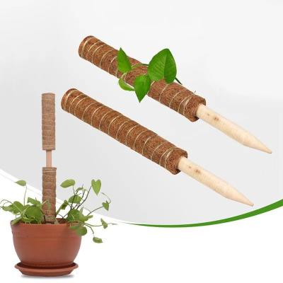 China Modern Manufacturers Can Customize Factory Wholesale Support Totem Pole Coconut Fiber Pole Moss Pole for sale