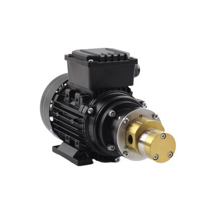 China 220v water pump continuous working miniature oil transfer pump used for oil transfer pump for sale