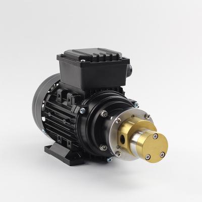 China Imported auto industry micro gear pump engineering gear pump factory ac220v pump best speed for sale