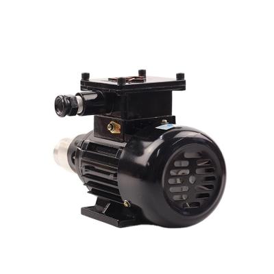 China 2021 New Automotive Industry AC Electric Motors Magnetic Transmission Gear Water Pump for sale