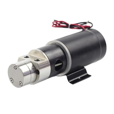 China HG300XB DC24 Mini / Micro 5 Bar Stainless Steel Gear Pump 3000rpm Magnetic Drive for sale