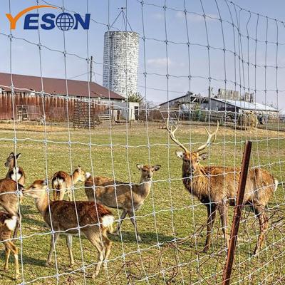 China Farm Twill Weave Livestock Fence Hot-Dipped Galvanized Deer Farm Fence for sale