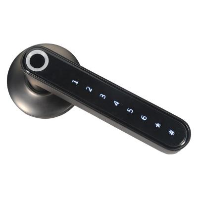 China Wide WiFi App Waterproof App Door Lock Smart Biometric Fingerprint Door Handle Keyless Smart Digital Door Lock for sale