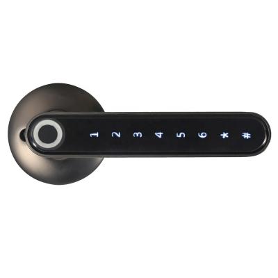 China Smart Home TT Lock BLE WiFi Smart Door Wide App Electronic Lock Fingerprint Door Handle Keyless Digital Lock for sale