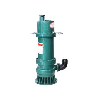 China 22m3/h 22m 4kw 1hp-10hp Draagbare onderwaterpomp voor landbouwgebruik Te koop