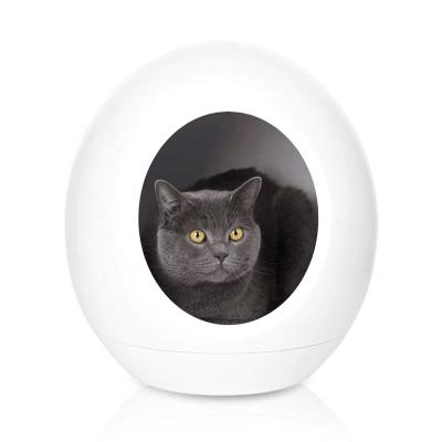 China Breathable Smart Smart Novelty Cozy Cozy PET Cat Nest With WiFi Music Soft Mat Sensor Light Air Conditioner Slightly for sale