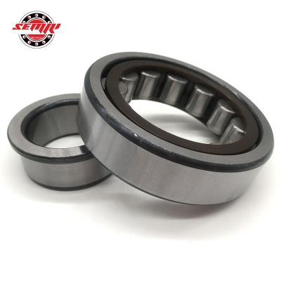 China Non-standard Japan 120X215X58 mm NJ2224 Motors Cylindrical Roller Bearing for sale