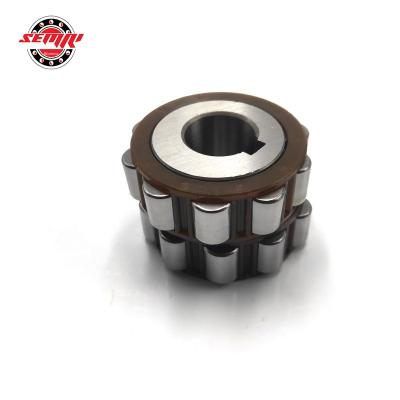 China Machinery Double Row 15x40.5x28mm Nylon Cage Eccentric Bearing 6100608 YRX for sale