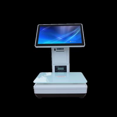 China 15.6 inch pos system dual capacitive touch screen  windows intelligent cash register with printer 2D Scanner weight scale pos 910 for sale