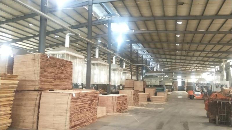 Verified China supplier - Shandong Rogge Wood Industry Co., Ltd.