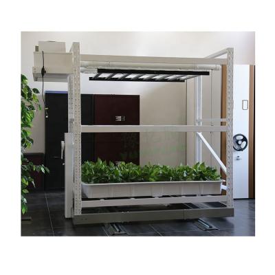 China Greenhouse Hydroponics Equipment Greenhouse Growing Plant Rack for sale