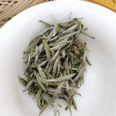 China Fujian Loose High Quality Silver Needle Tea Bai Hao Yin Zhen White Silver Needle White Tea for sale