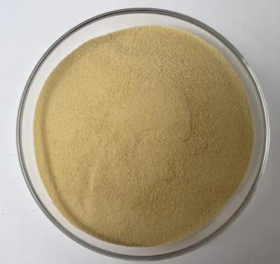 China Non Toxic Dispersant NNO , CAS 36290-04-7 Cement Water Reducing Agent for sale