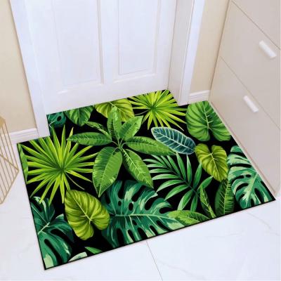 China 3D Floor Covers New Design 3d Carpet Printing Washable Custom Printing Door Mat for sale