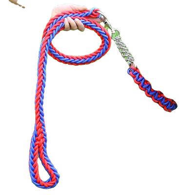 China Custom Hign Popular Nylon Quality Dog Pet Walking Leashes Fashion Accessories Colorful Pet Collar For Large Pet for sale