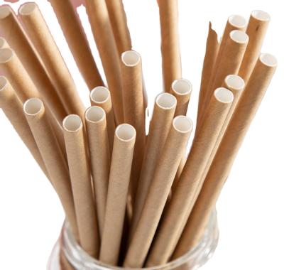 China Best Quality Best Selling Disposable Green Straw Eco Friendly Hot Disposable Cup Disposable Straw for sale