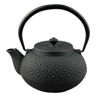 China Sustainable Cast Iron Water Tea Kettle Drinkware Enamel Metal Teapot for sale