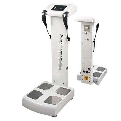 China Newest Health Care Body Composition Analyzer Machine Fat Tester GYM Body Composition Analyzer for sale