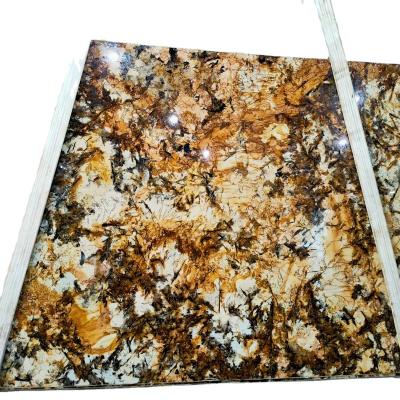 China Modern Splendor Gold Granite Sunflower Granite Lux Persa Gold Granite Slab for sale