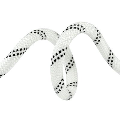 China Hot sale nylon cheap prices white nylon static nylon climbing rope 10.5mm with CE for sale