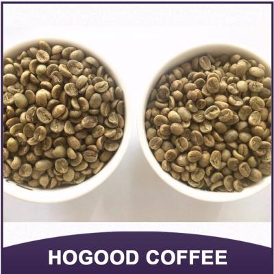 China Green Arabica Coffee Bean Premium Grade AA GAA-DH for sale