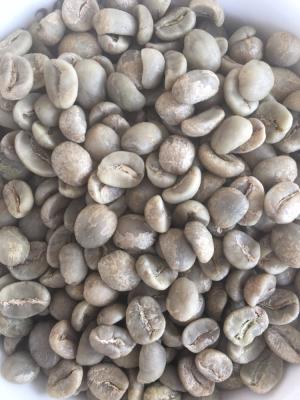 China 100% green arabica coffee beans above screen 16 for sale