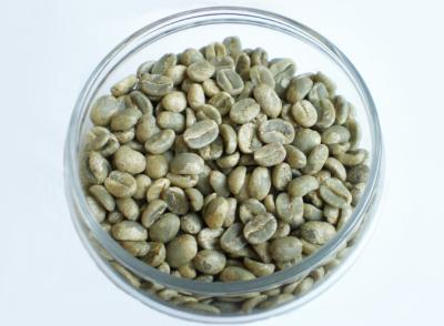 China Grade AA GAA-MS Screen 18 Arabica Green Coffee Bean for sale