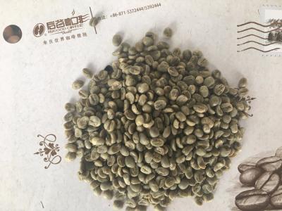 China Excellent arabica coffee beans with full body GA for sale