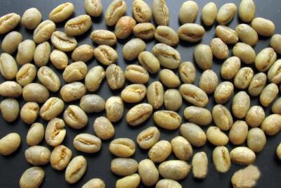 China Superior Green Coffee Beans - Peaberry GAA for sale