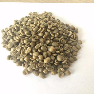 China Good quality green coffee bean GA-JZ for sale