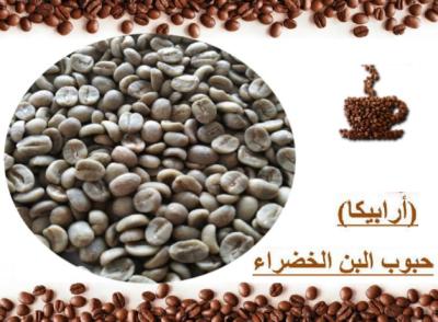 China Best Green Coffee Beans -- Arabica -- HG-AGCB-A1 for sale