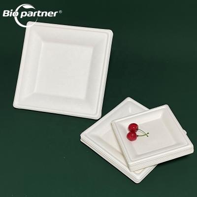 China Disposable Eco-Friendly Natural Compostable AM7 Biodegradable Take Out Square Sugarcane Bagasse Rectangular Disposable Dish for sale