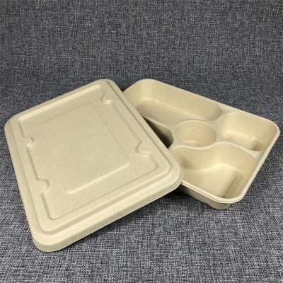 China A49 Promotion 15%off 3 Compartment Sugar Cane Food Bowl Eco Friendly Microwavable Top Block for sale