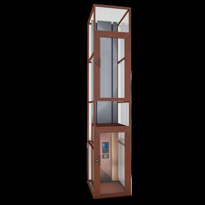 China Residential Farm Home Elevator Small Passenger Lifts 6 Person 450kg Elevator Elevator 1 Passenger Elevator Home for sale